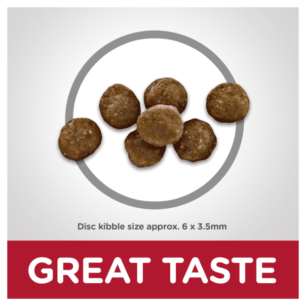 Hill's Science Diet Kitten Indoor Dry Cat Food