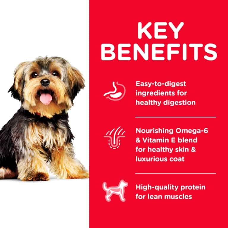 Hills Science Diet Dog Adult Small Paws