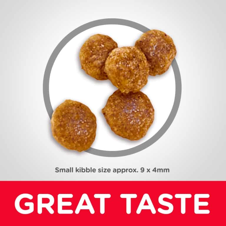 Hills Science Diet Dog Adult Small Bites