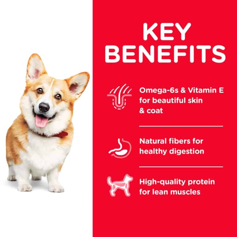 Hills Science Diet Dog Adult Small Bites