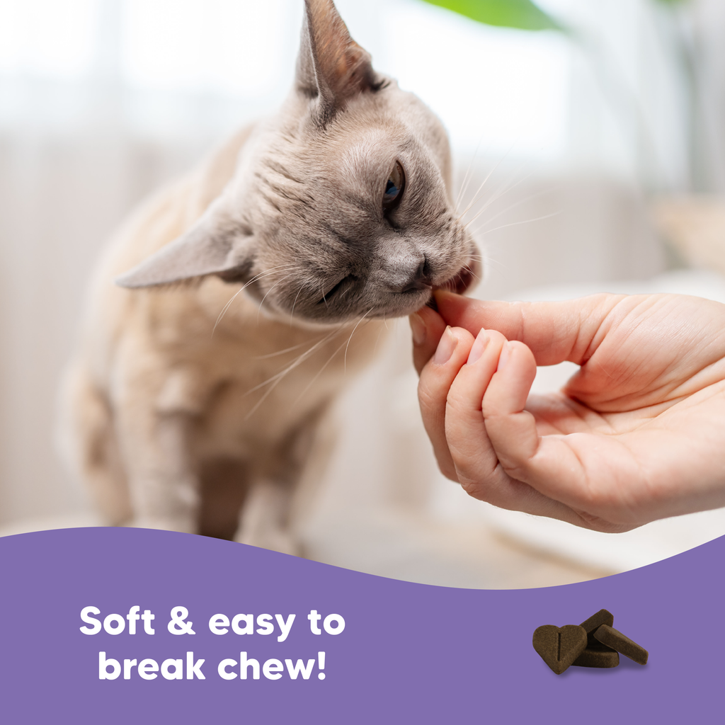 Vetafarm Lovebites B-Calm For Cats 60 Chews