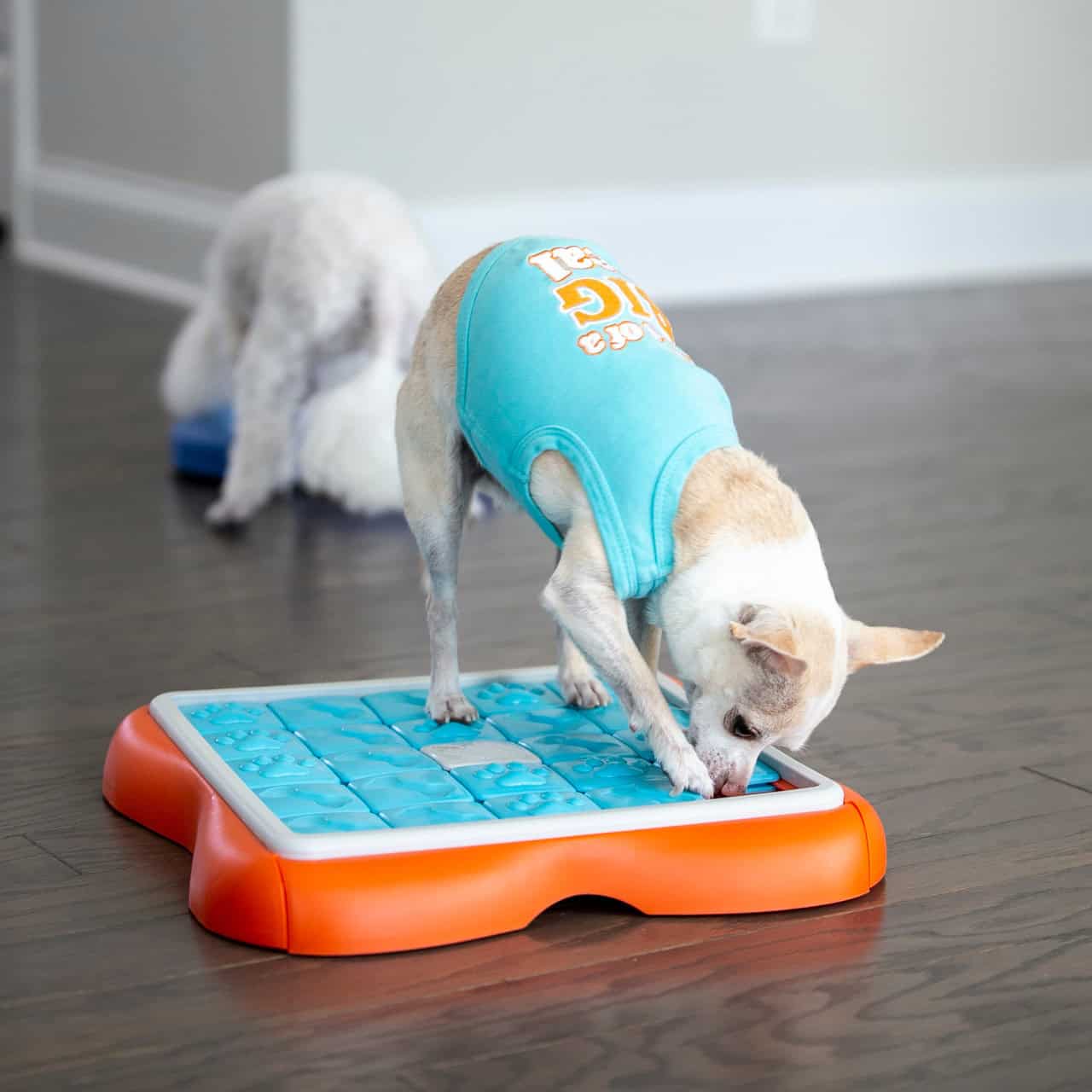 Nina Ottosson Dog Challenge Slider Interactive Treat Puzzle Dog Toy