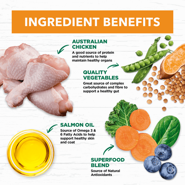 Ivory Coat Adult Dog Chicken & Coconut Oil