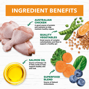 Ivory Coat Adult Dog Chicken & Coconut Oil