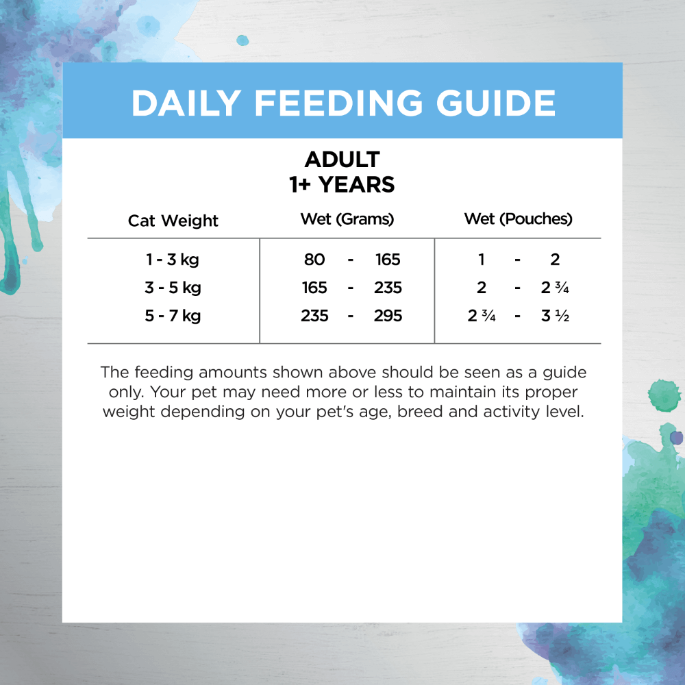 Ivory Coat Inspired by Raw Gut & Digestion Adult Wet Cat Food Pouch 85g 12 Pack
