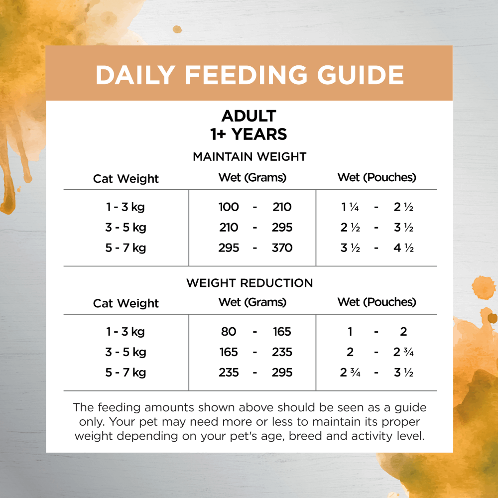 Ivory Coat Inspired by Raw Health & Vitality Adult Wet Cat Food Pouch 85g 12 Pack
