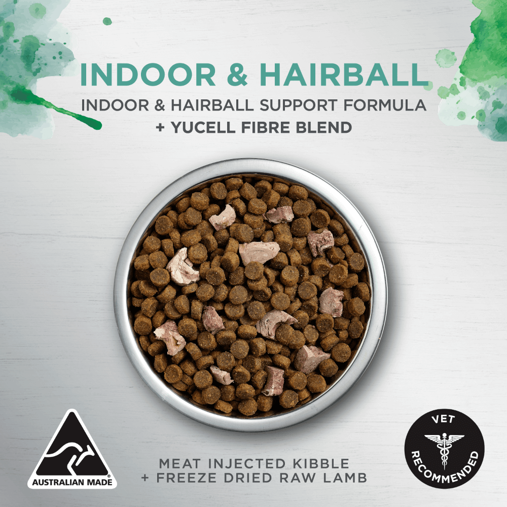 Ivory Coat Raw Health Indoor & Hairball Adult Dry Cat Food