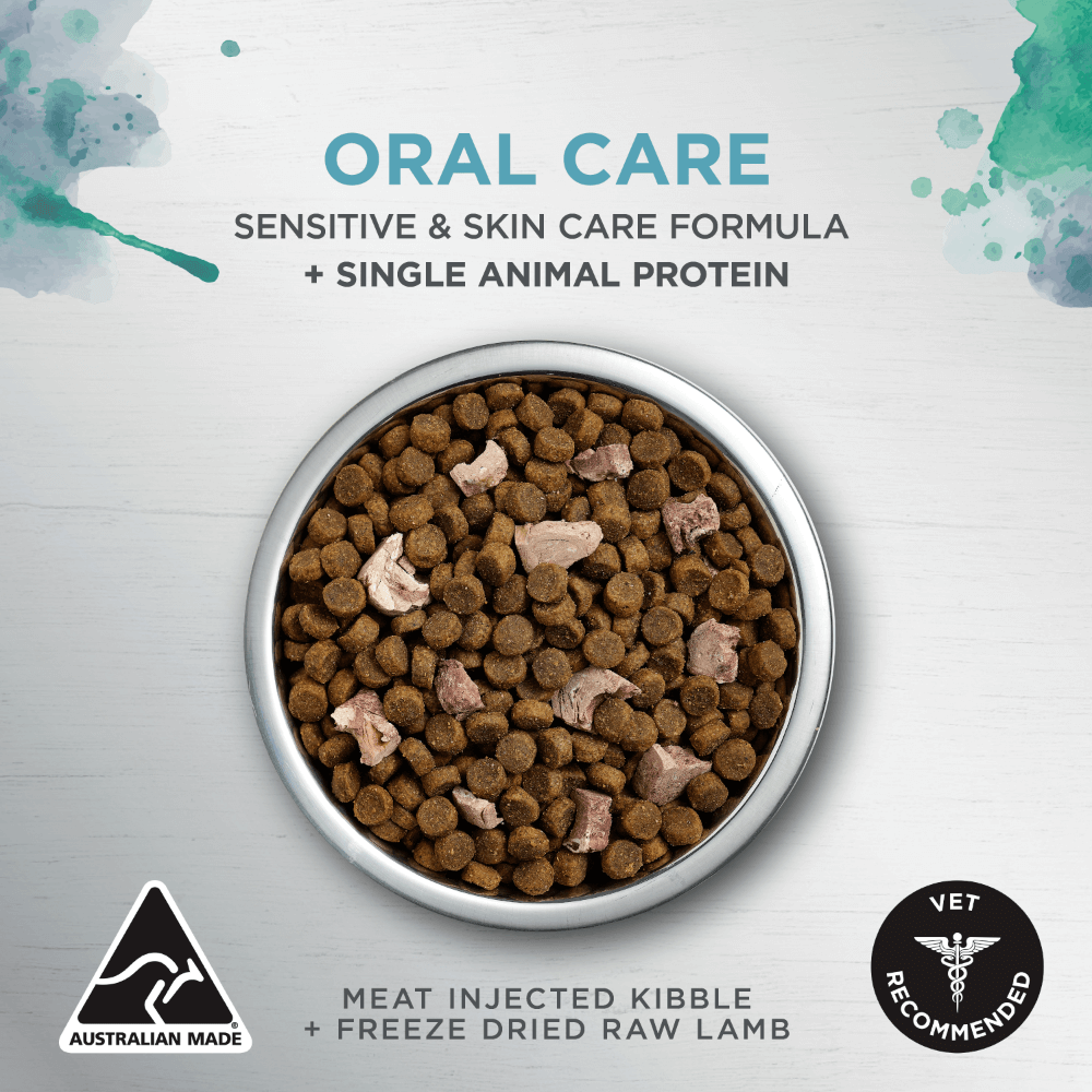 Ivory Coat Raw Health Oral Care Adult Dry Cat Food