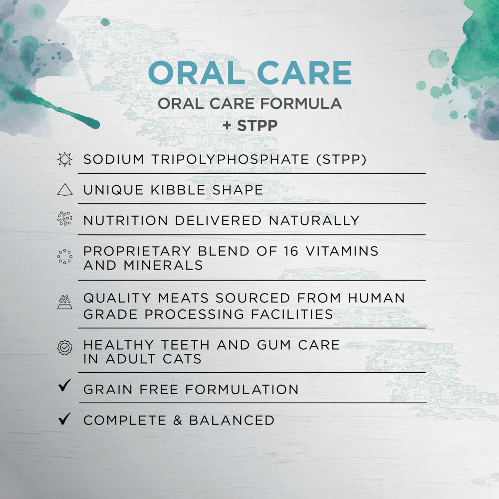 Ivory Coat Raw Health Oral Care Adult Dry Cat Food