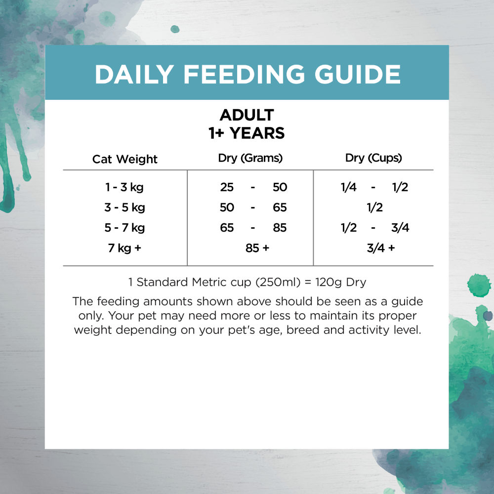 Ivory Coat Raw Health Oral Care Adult Dry Cat Food