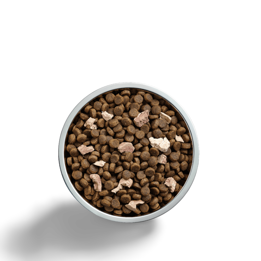 Ivory Coat Raw Health Dog Sensitive Care Dry Dog Food