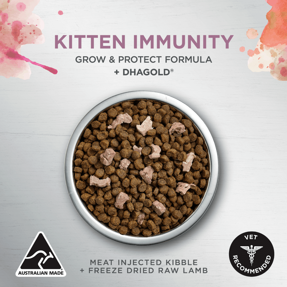 Ivory Coat Raw Health Kitten Immunity Dry Cat Food