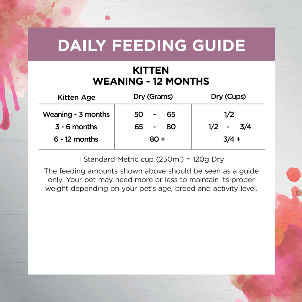 Ivory Coat Raw Health Kitten Immunity Dry Cat Food