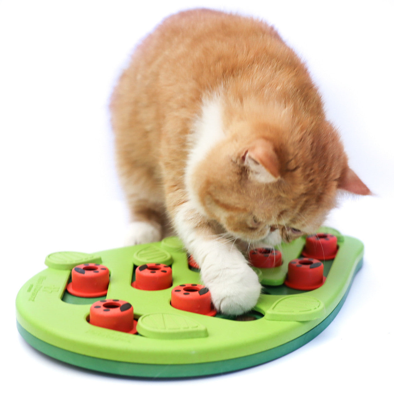Nina Ottosson Cat Puzzle & Play Cat Treat Puzzle - Buggin' Out