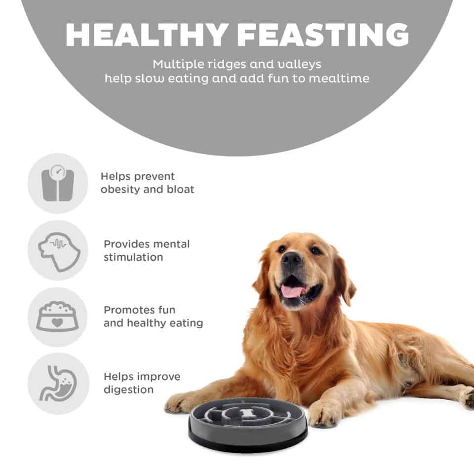 Outward Hound Fun Feeder Drop Dog Bowl - Grey