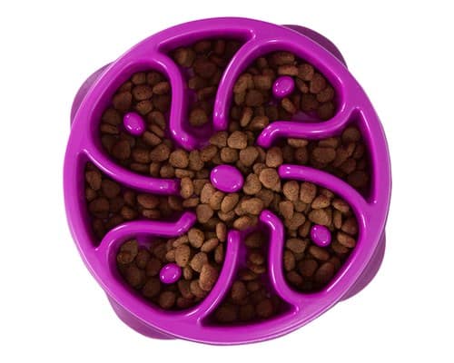 Outward Hound Fun Feeder Prpl