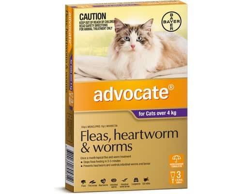 Advocate Cat Large 4kg+ Purple