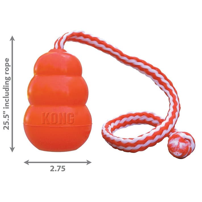 Kong Dog Aqua Dog Toy
