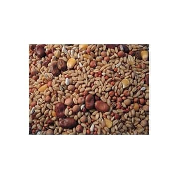 Vetafarm Forest Fusion Lorikeet Diet