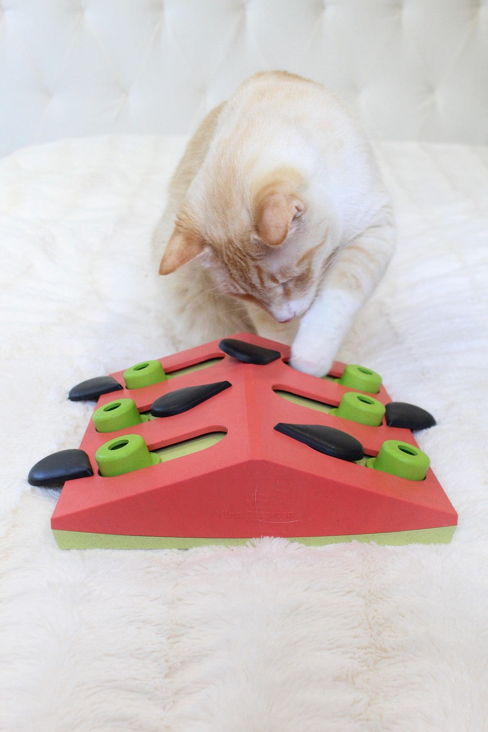 Nina Ottosson Cat Puzzle & Play Cat Treat Puzzle - Melon Madness