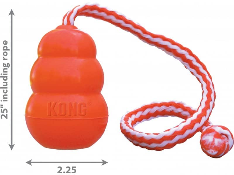 Kong Dog Aqua Dog Toy