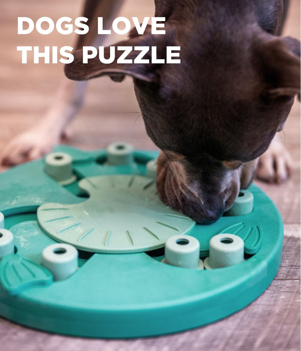 Nina Ottosson Dog Worker Interactive Treat Puzzle Dog Toy