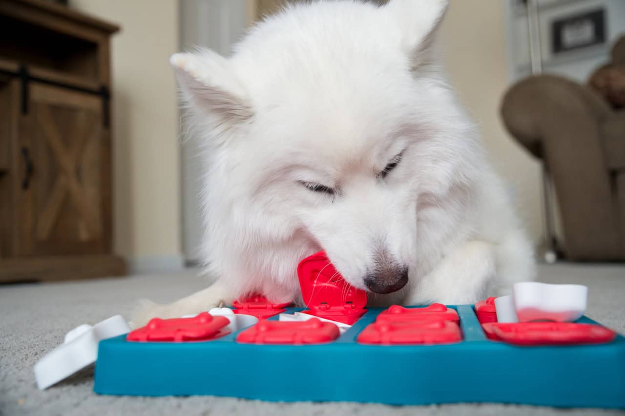 Nina Ottosson Dog Brick Interactive Treat Puzzle Dog Toy - Blue