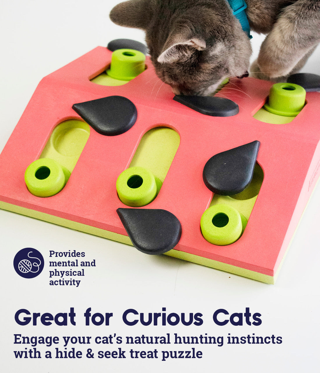 Nina Ottosson Cat Puzzle & Play Cat Treat Puzzle - Melon Madness