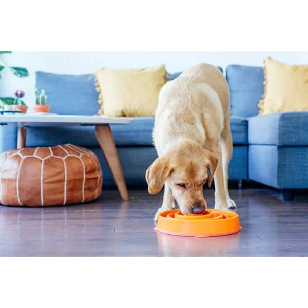 Outward Hound Fun Feeder Dog Bowl - Orange