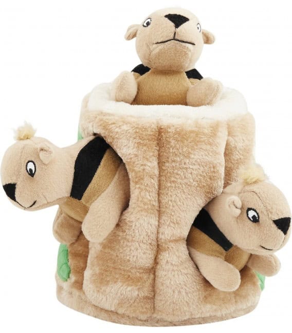 Outward Hound Dog Hide A Squirrel Plush Dog Toy Puzzle