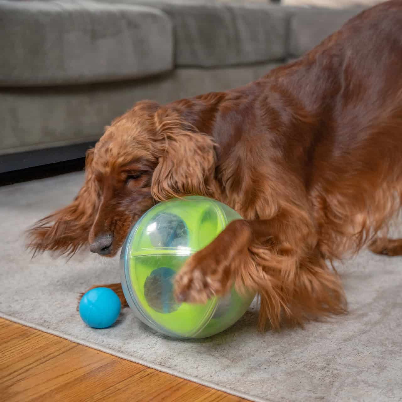 Nina Ottosson Dog A-Maze Ball Dog Toy - Green