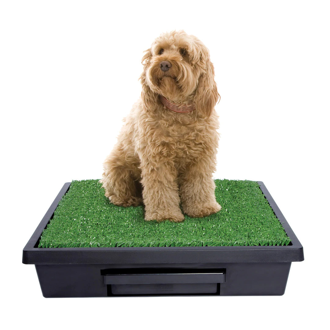 PetSafe Pet Loo