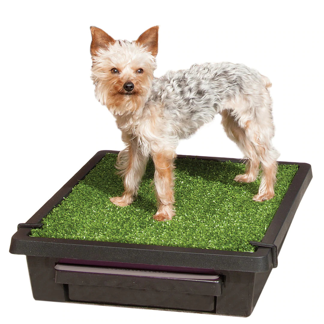 PetSafe Pet Loo