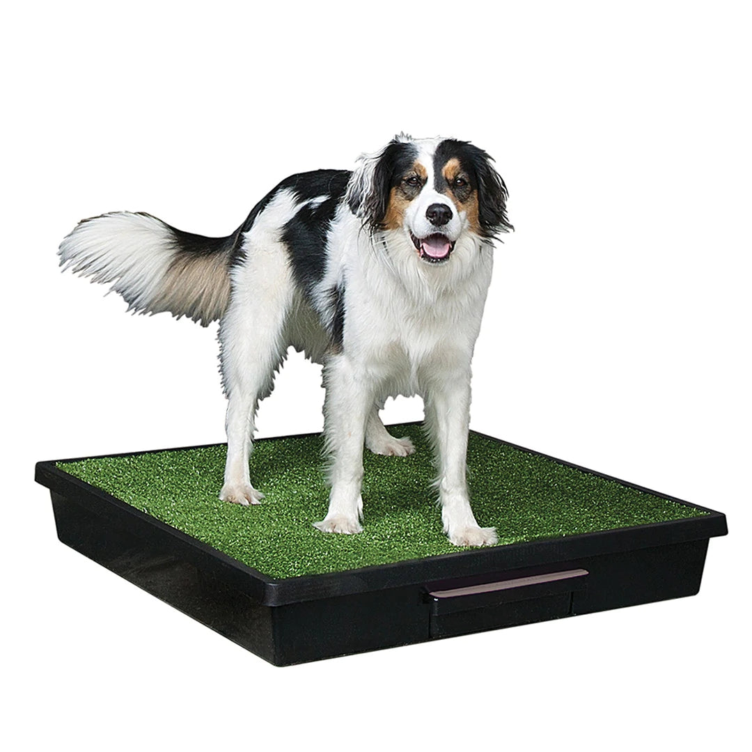 PetSafe Pet Loo