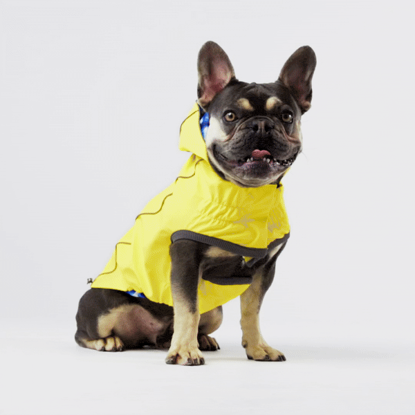 GF Pet Elasto-Fit Reversible Raincoat - Neon Yellow/Soft Tie Dye (Medium)