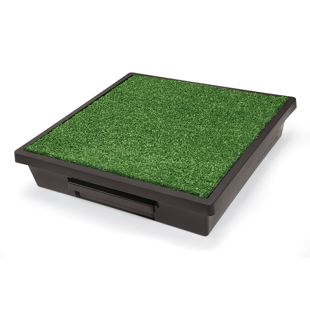PetSafe Pet Loo
