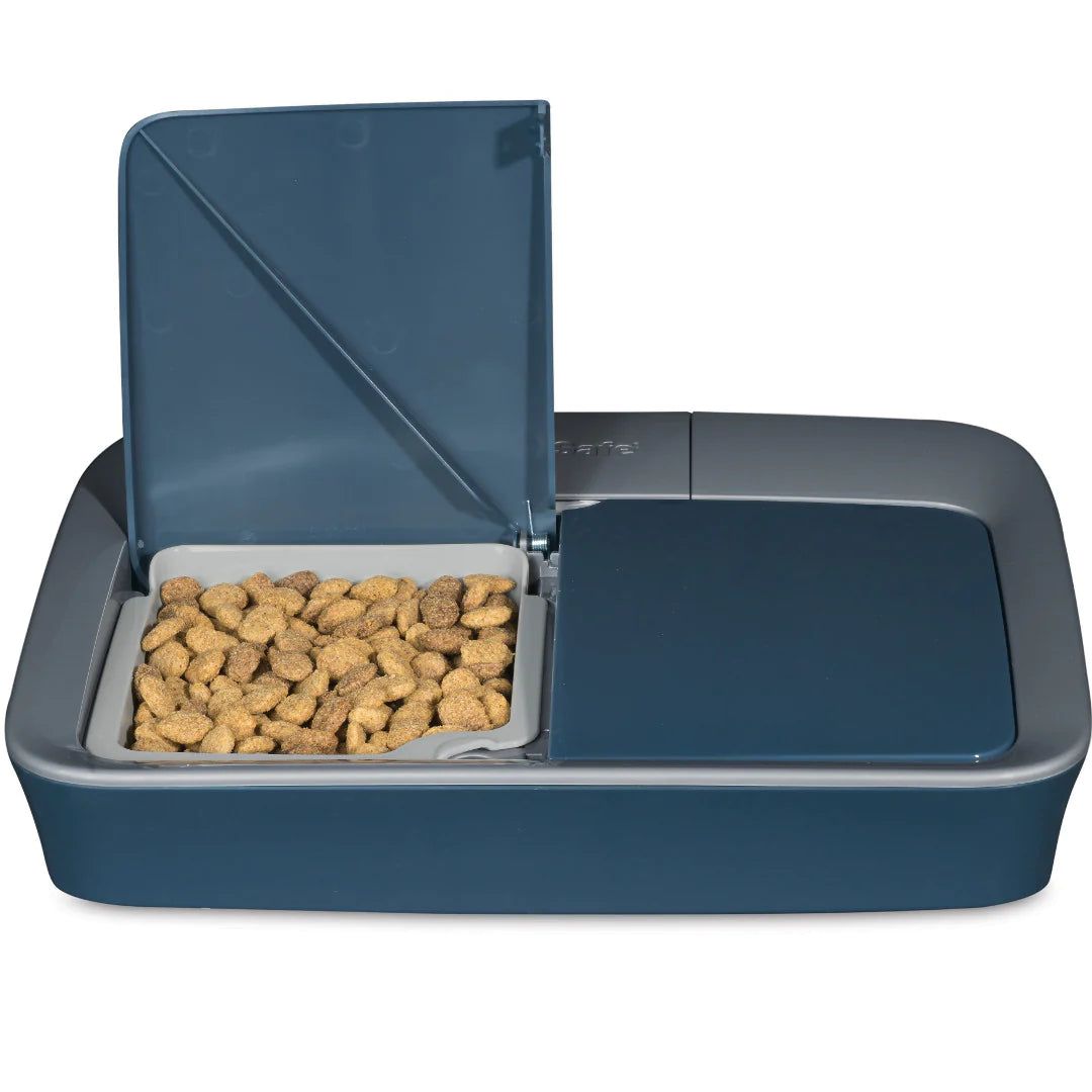 PetSafe Automatic Digital Two Meal Pet Feeder