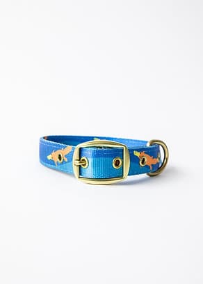 Anipal Piper the Platypus Dog Collar