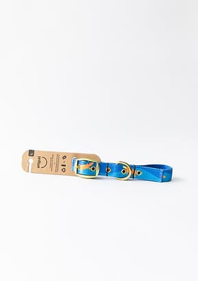 Anipal Piper the Platypus Dog Collar
