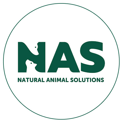 NAS