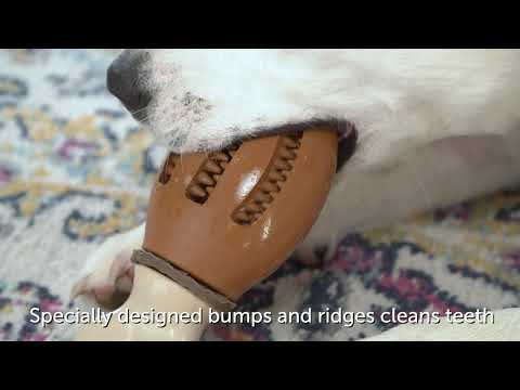 Petsafe Busy Buddy Chomping Chicken Treat Ring Dog Toy