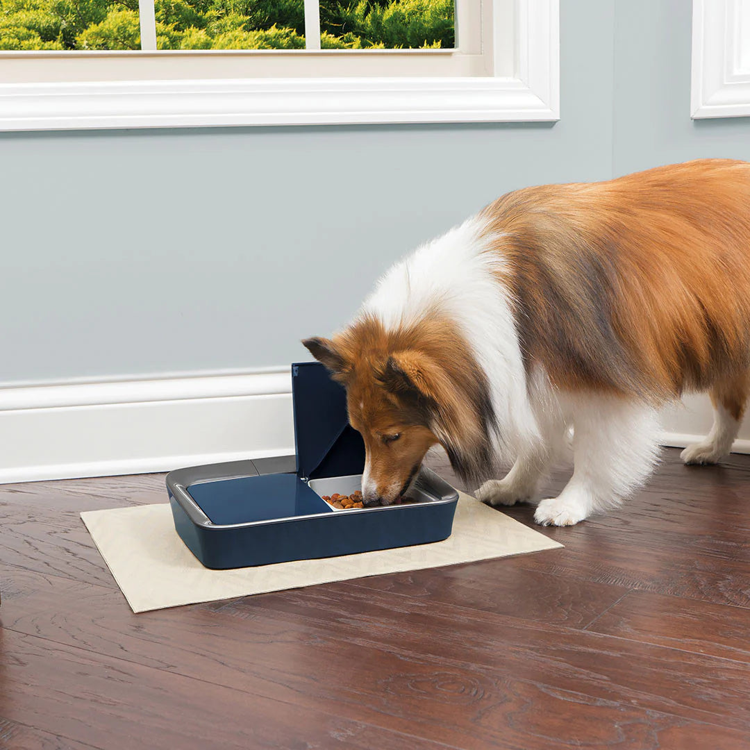 PetSafe Automatic Digital Two Meal Pet Feeder
