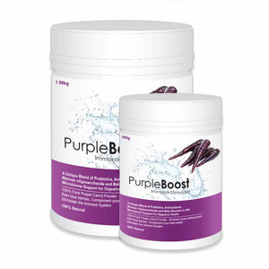 LifeWise Purple Boost