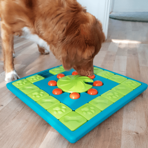 Nina Ottosson Multipuzzle Blu