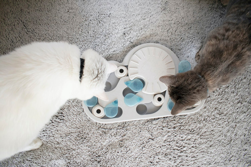 Nina Ottosson Cat Puzzle & Play Cat Treat Puzzle - Rainy Day