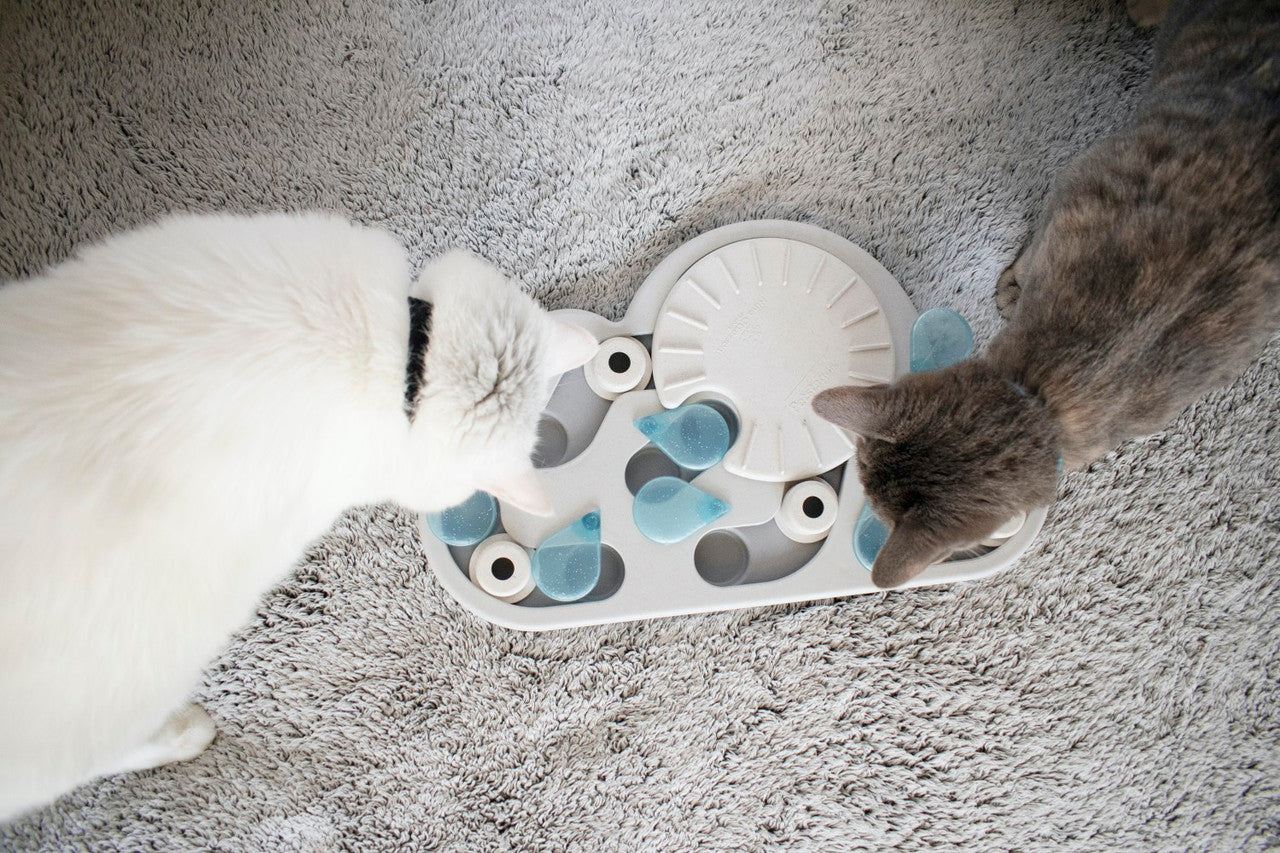 Nina Ottosson Cat Puzzle & Play Cat Treat Puzzle - Rainy Day