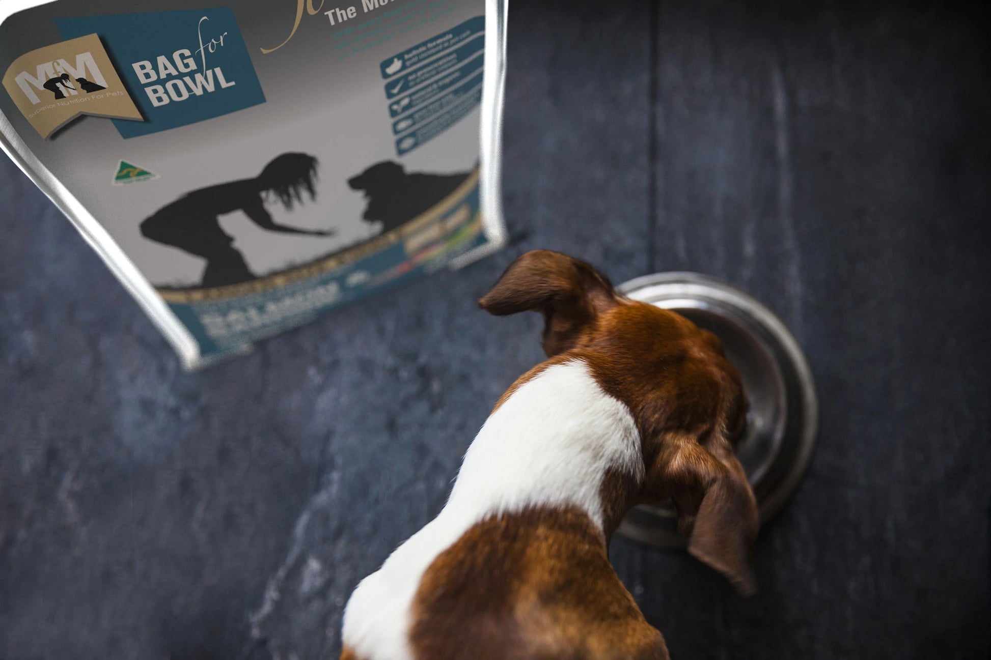 Meals For Mutts Dog Large Breed Salmon & Sardine Gluten Free Dry Food