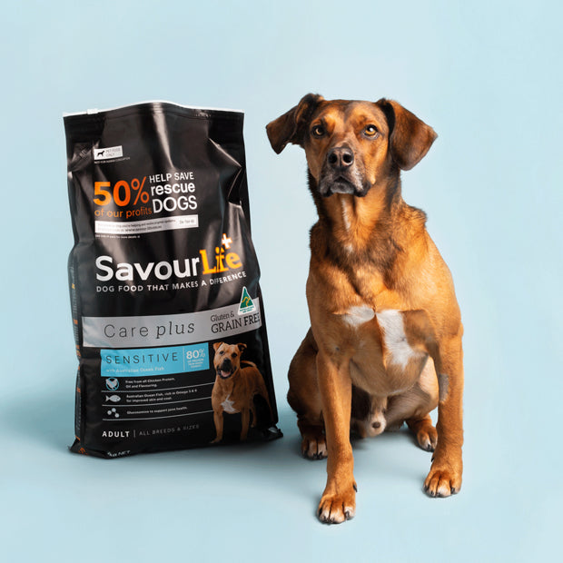 SavourLife Grain Free Care Plus Sensitive Ocean Fish
