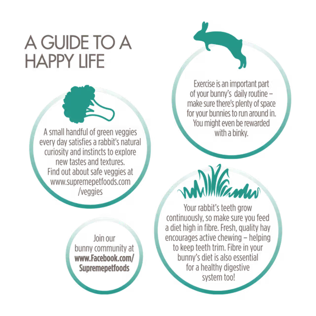 Science Selective Rabbit Food Adult