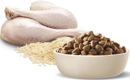 Advance Medium Breed Adult Dog Food Turkey with Rice